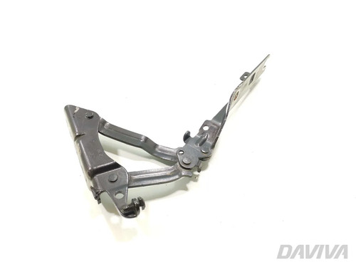 Hood hinges