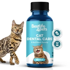 Cat Dental Care & Bad Breath Remedy