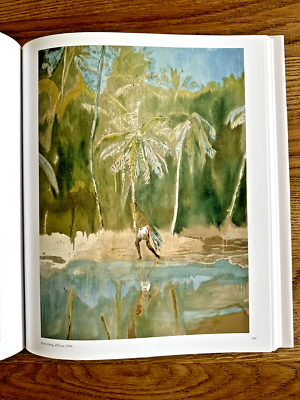 Peter Doig: No Foreign Lands Cook, Angus Book (Art Book