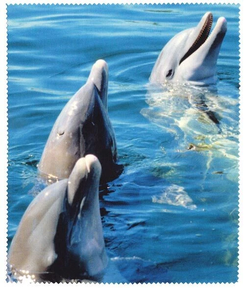 VICTORIA ETUIS wunderschönes Microfasertuch mit Motiv - Delphin - Putztuch für die Brille | NEU