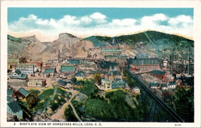 Bird's Eye View of Homestake Mills, Lead S.D Vintage Postcard Wpc4