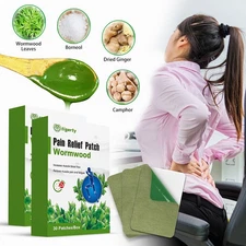 60 PC HERBAL PAIN RELIEF PATCH for Knee Back Neck Muscle Arthritis Murgwort Moxa