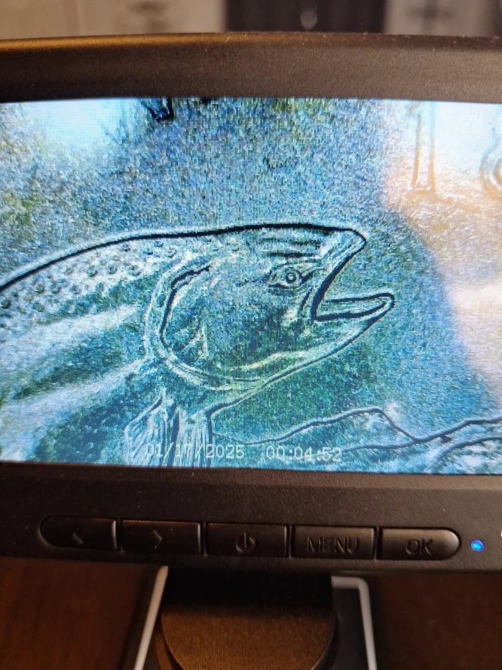 2007 Washington Uncirculated Quarter Struck Through Errors - Image 2 of 4