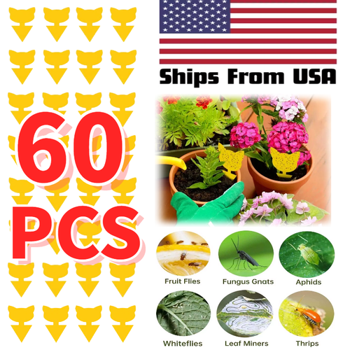 60PCS Sticky Fruit Fly Traps, Fungus Gnat Killer Trap use Indoor Outdoor
