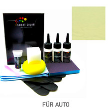 Leder Reparatur Set BMW Dakota lemon Lederfarbe f&uuml;r Leder. Leather Color.