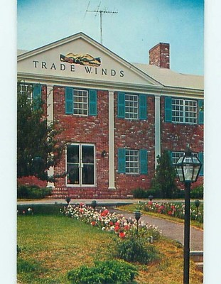 Unused Pre-1980 TRADE WINDS INN MOTEL Craigville Massachusetts MA s2683