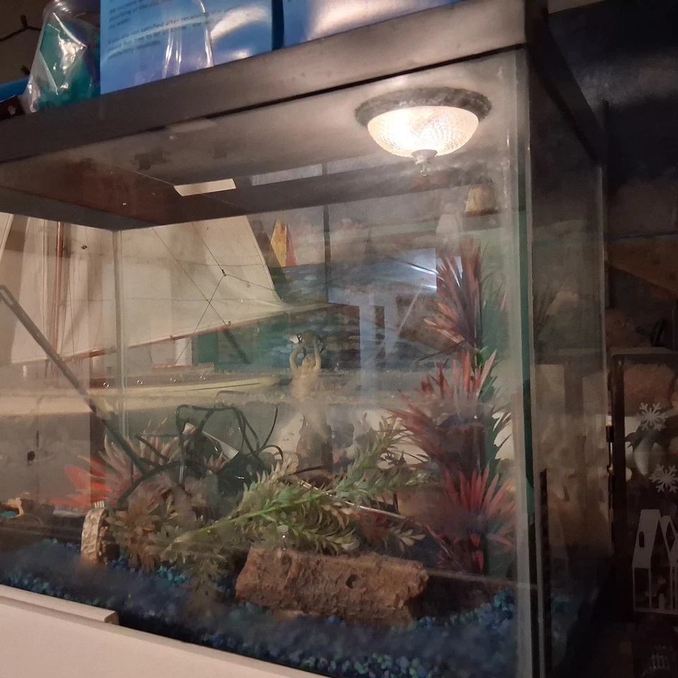 40 Gallon Aquarium For Sale. Tank Comes With Everything. - Image 3 of 3