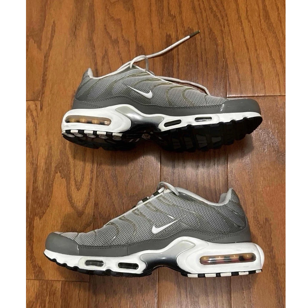 Nike Air Max Plus SE Flat Pewter for Sale | Authenticity