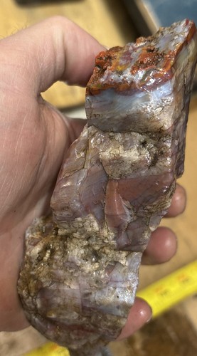 Madera petrificada colorida - Imagen 7 de 8