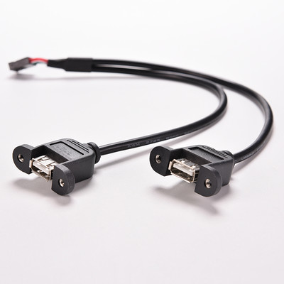 30cm/1FT 2 Port USB A Female to Internal 9 Pin Header Adapter Cable Pr_z8