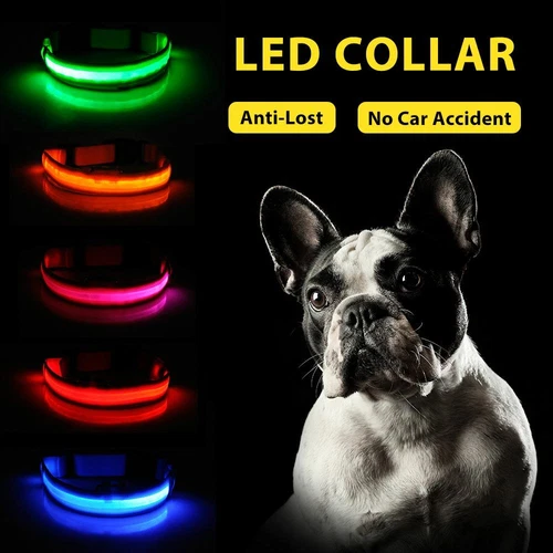 Collar LED de carga USB para perro antipérdida accidentes automovilísticos cachorros suministros de plomo - Imagen 2 de 11