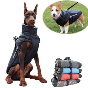 doberman jacket