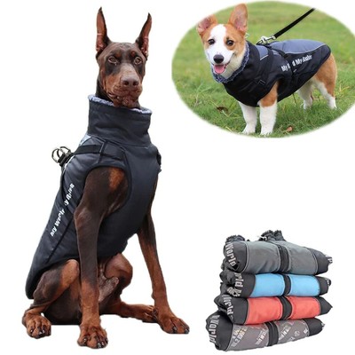 labrador winter jacket