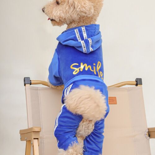 Pullovers Dog Jumpsuit Puppy Tracksuit Pet Clothes Chihuahua Dog Hooded Spring - Picture 8 of 11