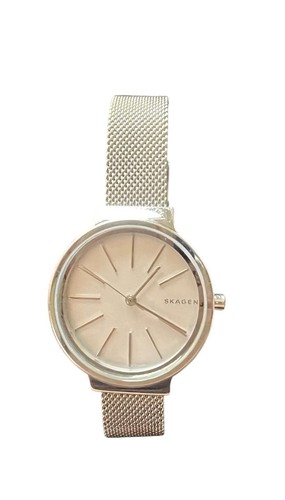 Skagen SKW2478 Silver Tone Steel Mesh Classic Women's Watch #G-4 - Picture 7 of 7