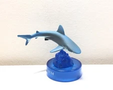 RARE Kaiyodo Japan Exclusive Shinagawa Aquarium Blacktip Reef Shark Figure