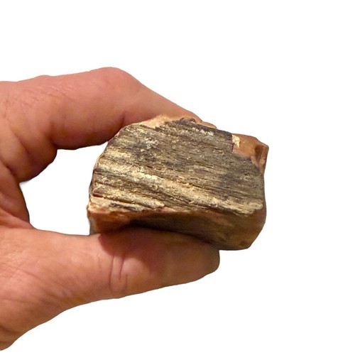 Arizona Rainbow Petrified Wood Specimen 206 Grams - Picture 6 of 8