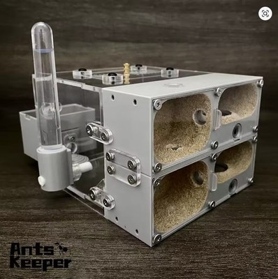 Ant Farm Myrmecocystus fit More Than Myrmecocystus Anthill Nest for Ants Keeping