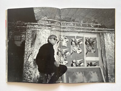 Andy Warhol : The Factory Years, 1964-1967 by Nat