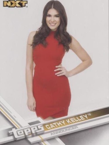 cathy kelley red dress this week was a rollercoaster and i didn't even make it to @sixflagsqc