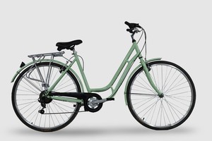 fahrrad damen korb Komfort Citybike Mit Vintage Damenfahrrad Hollandrad, 28 Zoll, Schwarz-Creme, 1-Gang Sport & Freizeit Gebrauchte Fahrräder kaufen – isinwheel Stoffoptionen:Aurora