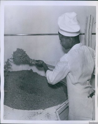 1938 Canine Health Food Co Chef Prepares Dinner For Dogs Industry Photo 7x9