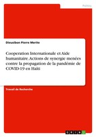 Cooperation Internationale Et Aide Humanitaire. Actions De Synergie MenéEs...