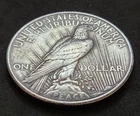 1924 Peace Silver Dollar • Dark Toning • Circulated • X97
