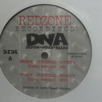 DNA (Devon Noah Allah)-Bronx Criminal County 12” LP | eBay