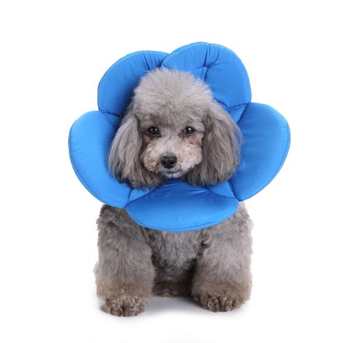 Pet Elizabethan Collar Flower Shape Dog Cat Soft Anti-bite Recover E-Collar Cone - Picture 9 of 10