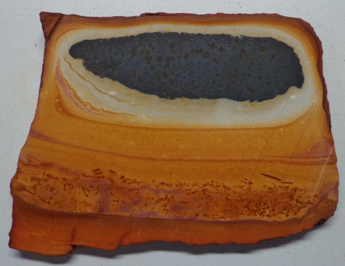 WRG- Desert Polychrome Picture Jasper Slab 51 grams Agate Rhyolite - Picture 4 of 4