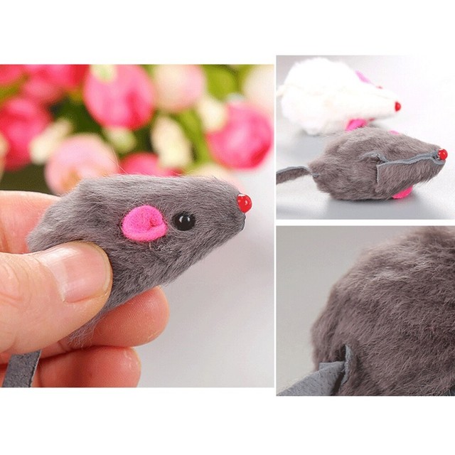 rat cat toy