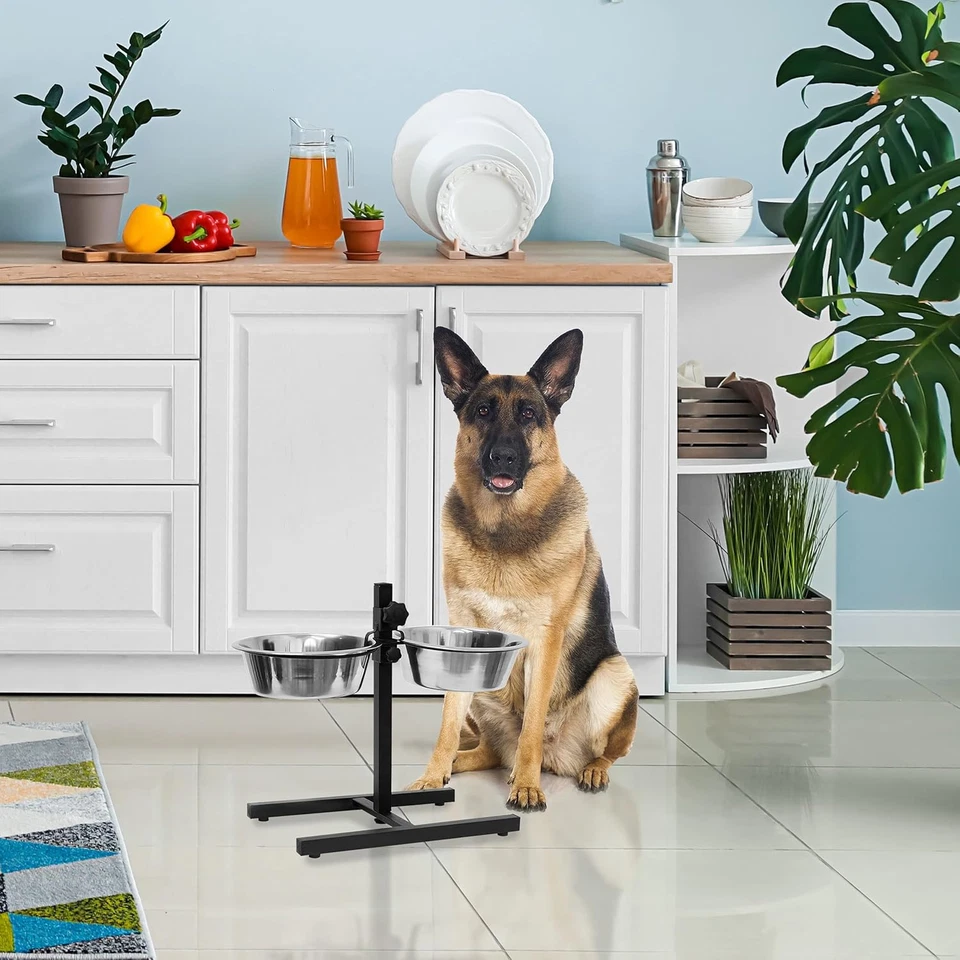 Ciotole Rialzate per Cani in Acciaio, 2,2 L, Hxlxp: 42X53X26 Cm, Supporto Regola - Immagine 2 di 4