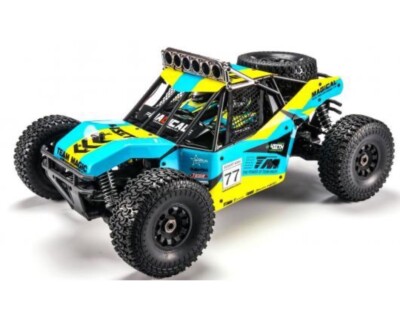 Team Magic 4SETH Grün/Schwarz TM560016G 