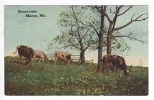 POSTCARD:  1912 Theochrom Serie 1314-35 - USA - 1 Cent Stamp;