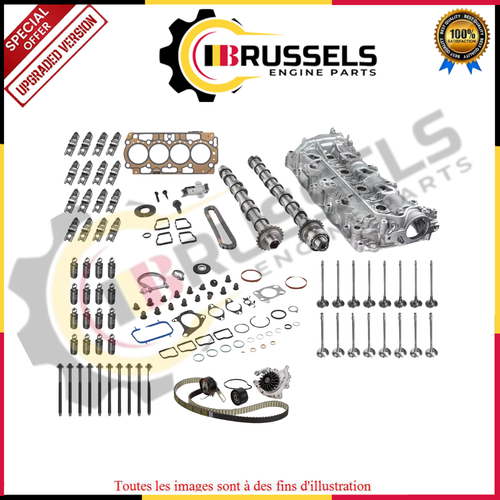 DAYUAN Motor instelgereedschap nokkenas blokkeergereedschap uitlijningsinstelgereedschap set compatibel met PSA Opel Vauxhall Peugeot Citroen Petrol PureTech EB2 PSA DS DAYUAN Motor instelgereedschap nokkenas blokkeergereedschap uitlijningsinstelgereedschap set compatibel met PSA Opel Vauxhall Peugeot Citroen Petrol PureTech EB2 PSA DS