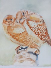 Aquarell Bild. Zwei Eulen. Vogel Pärchen. Tiere. Größe ca 21x27 cm.
