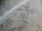 Bild 2 von 12