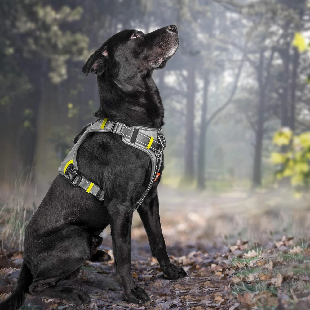 Dog Harness, Multi-Functional No-Pull Pet Vest Harness with Saddle Bags Backpack