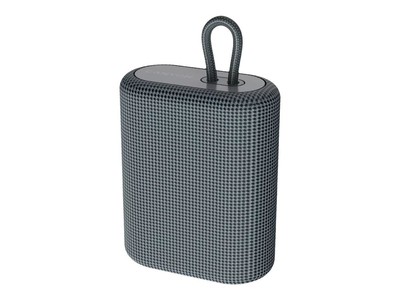Canyon Bluetooth Speaker BSP-4   TF Reader/USB-C/5W     grey retail
