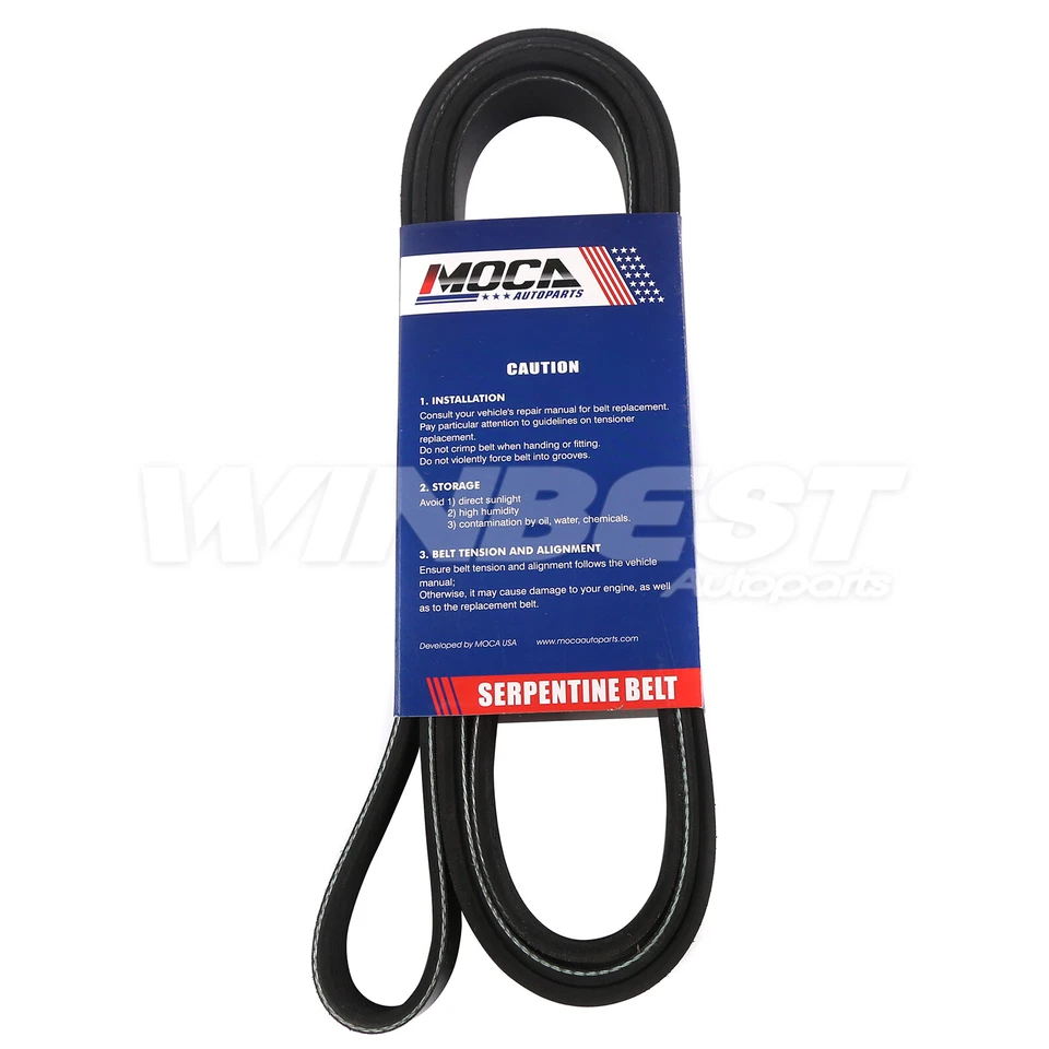 Cinturón serpentino EPDM 6PK2025 para Chevrolet Camaro Corvette 1998-2015 3,6 L 6,2 L Foto 2 de 4