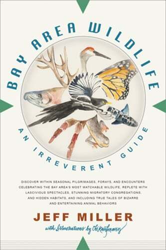 Bay Area Wildlife: Jeff Miller’s Irreverent Guide Now Available