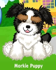 Webkinz Classic Morkie Puppy - hm799 - Virtual Adoption Code Only