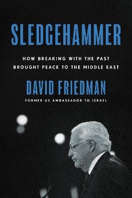 Vorschlaghammer, David Friedman, gebunden