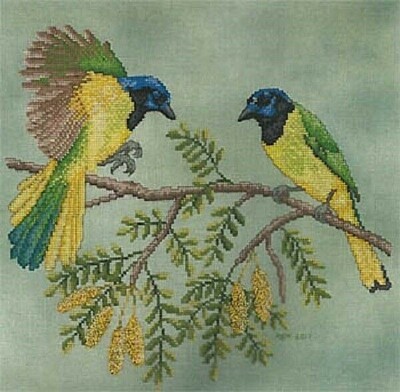 Green Jays~Crossed Wing Collection