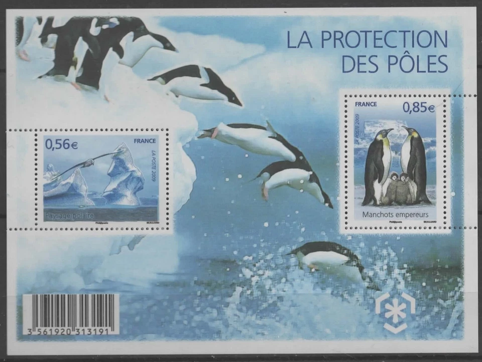 FRANCE - Bloc 2 Timbres de France - (LA PROTECTION DES PÔLES) 2009 - NEUF - Photo 1/1