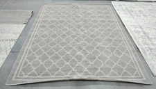 LIGHT GREY / BEIGE 8' X 10' Back Stain Rug, Reduced Price 1172705795 AMT422B-8
