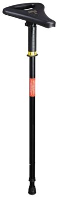 Gastrock Seat Stick Walker