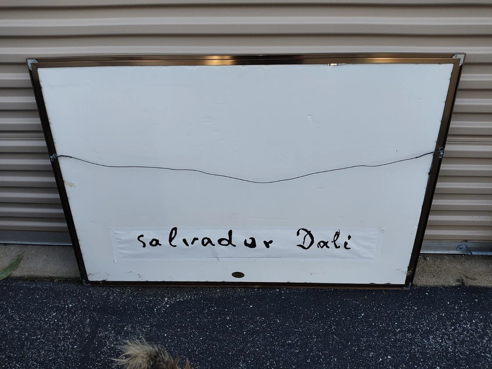 Cisnes Elefantes Reflectantes Enmarcados Sobre Lienzo por Salvador Dalí Impresión Arte Abstracto Foto 2 de 2