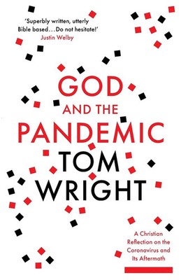 God and the Pandemic A Christian Reflection on the Coronavirus and its Aftermath